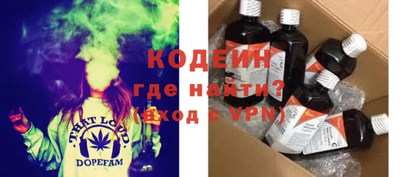 индика Заволжск