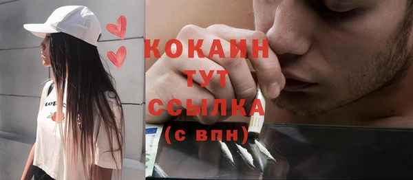 индика Заволжск