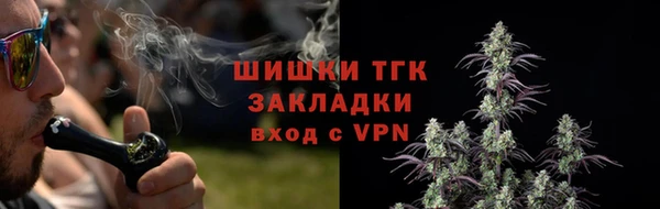 индика Заволжск