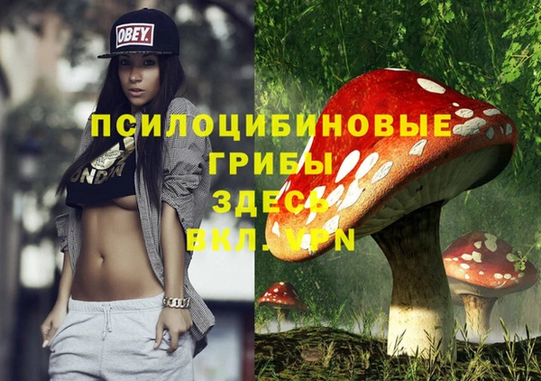 МДМА Заволжье