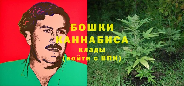 индика Заволжск