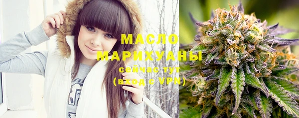 индика Заволжск