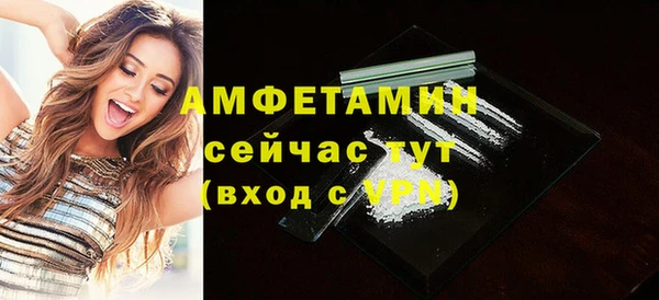 индика Заволжск